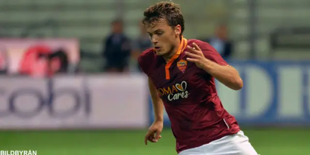 Adem Ljajic