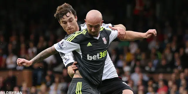 Stephen Ireland helt klar för Stoke