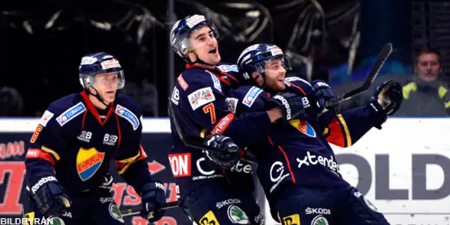 Djurgårdens interna poängliga, HockeyAllsvenskan 2013/2014