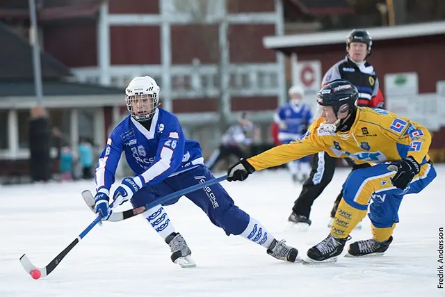 "Att hänga på de små snorvalparna"