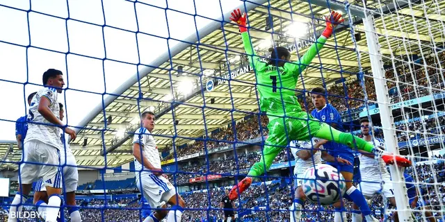 Delad pott för Brighton - se höjdpunkterna