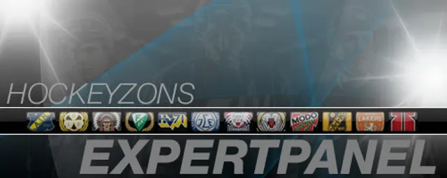 Hockeyzons Expertpanel #2: ”Spelare och ledare är så förbaskat PK”