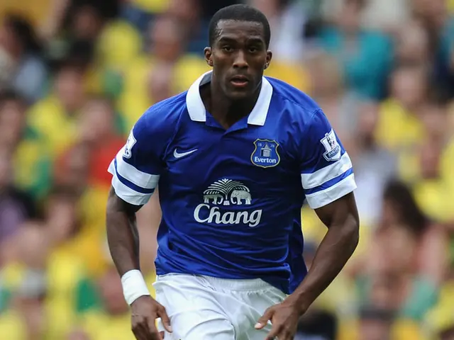 Sylvain Distin