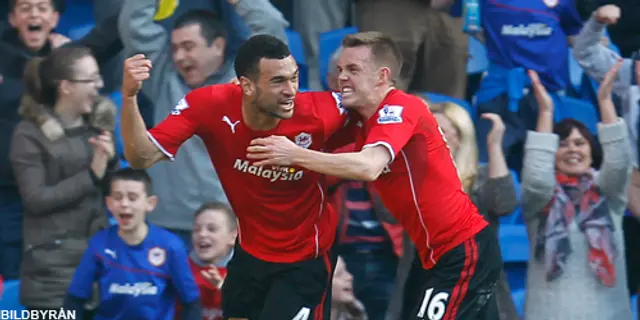 QPR värvar Steve Caulker från Cardiff 