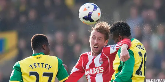 Norwich City - Stoke City 1-1 (0-0)