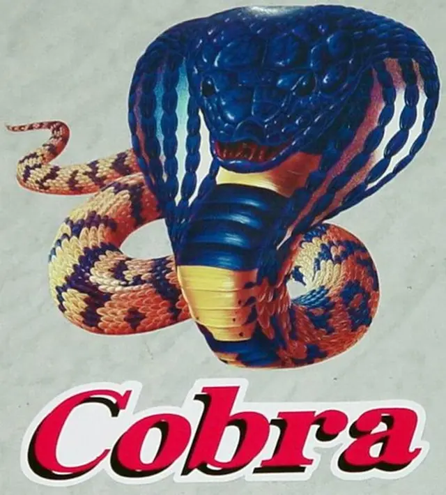 Matchens Cobra