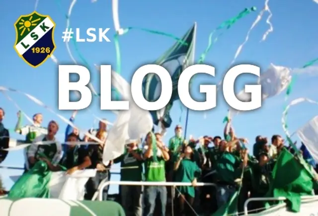 LSK-blogg: Mellan flaskor, glas och fimpar