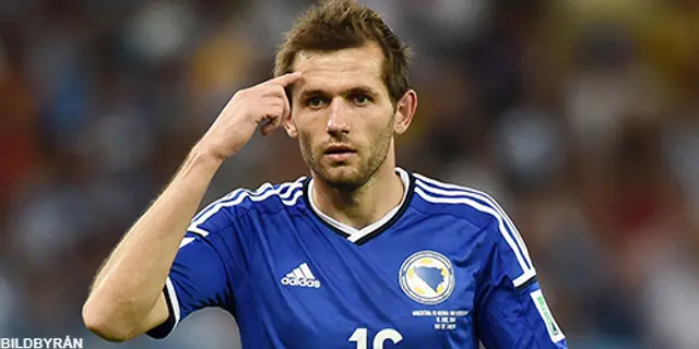 Senad Lulic