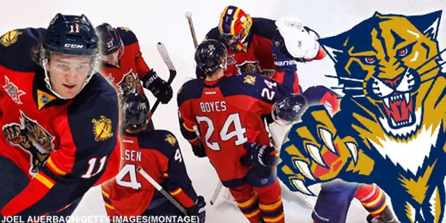 SvenskaFans rankar NHL: 29. Florida Panthers