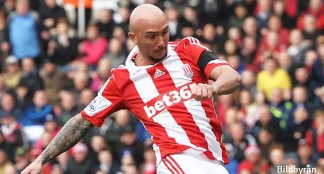 Stephen Ireland