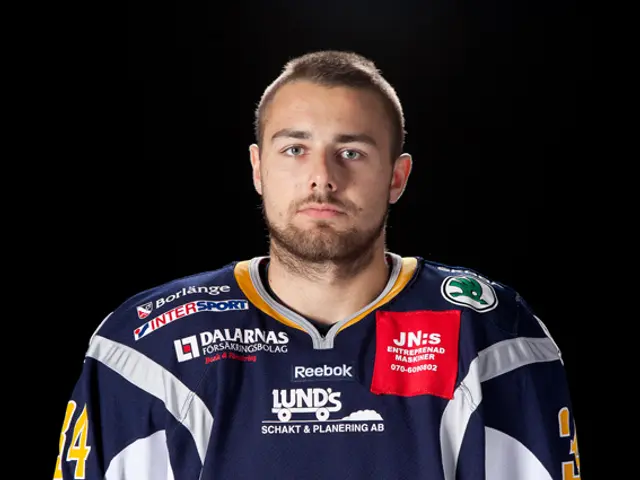 2 lämnar Borlänge Hockey