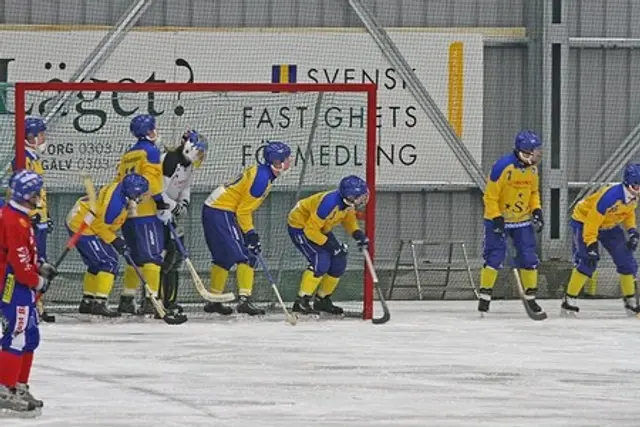 Sumpade m&aring;lchanser/h&ouml;rnor i massor kostade po&auml;ng