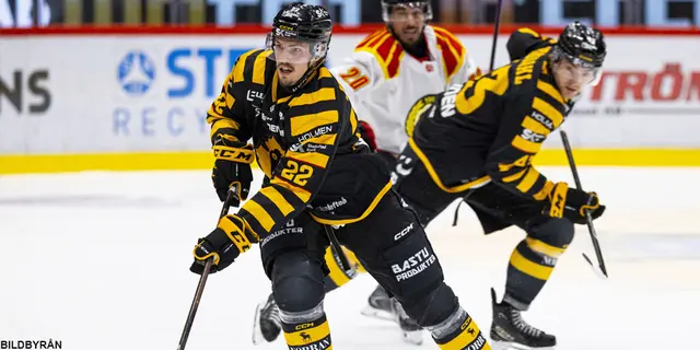 Inför Skellefteå AIK - Timrå IK: "Bäddar för fest"