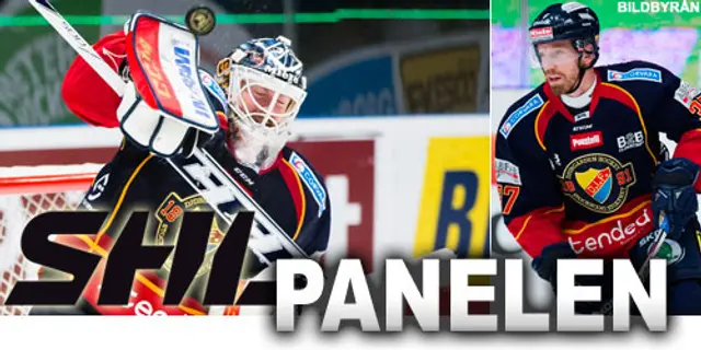 SHL-panelen: ”Växer en dimension i Djurgården”