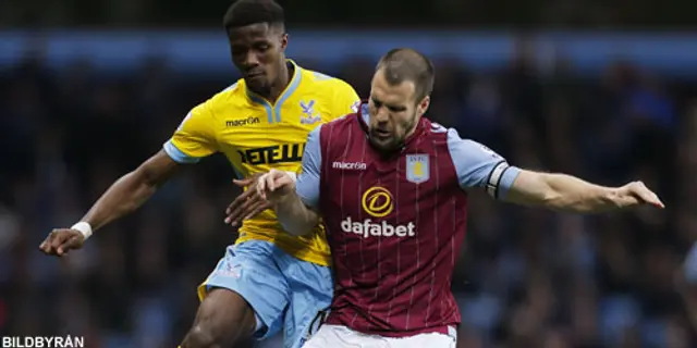 Ron Vlaar