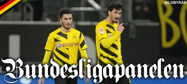 Bundesligapanelen: ”Då kan det bli fritt fall rakt ned i andradivisionen”