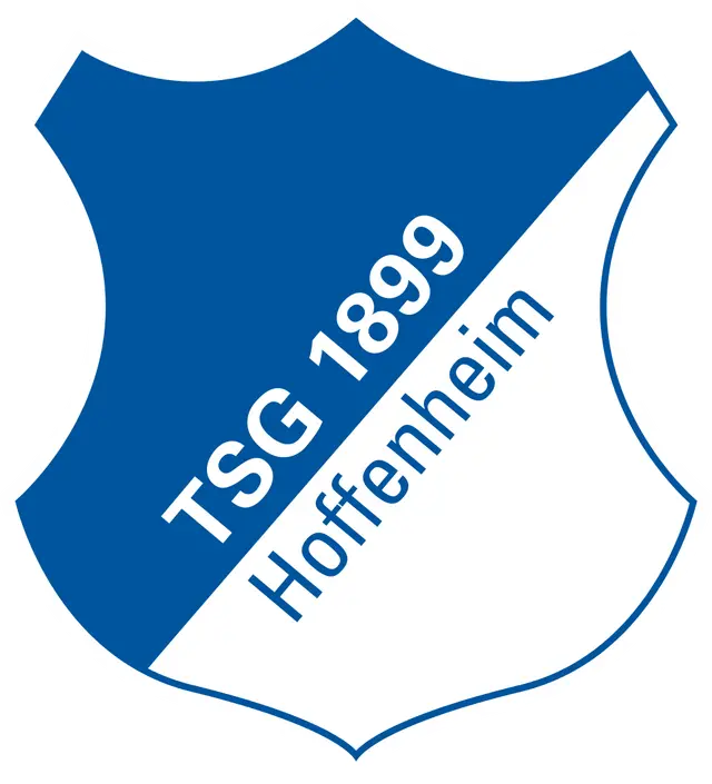 Genomgång av Hoffenheims transferfönster