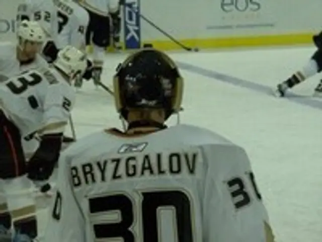 Bryzgalov kvar i Phoenix