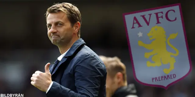 Sherwood ny manager för Aston Villa