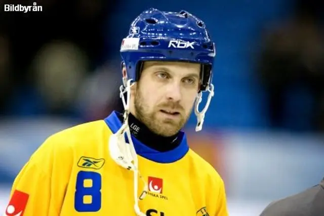 Bandy-VM 2009: Sveriges trupp