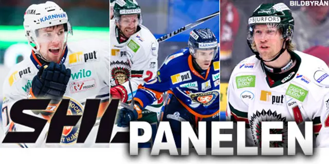 SHL-panelen: ”De bästa spelarna tar ut varandra”