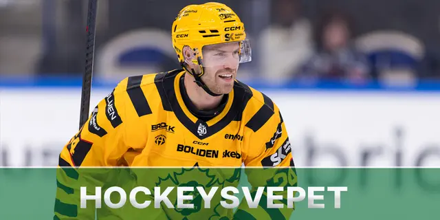 Hockeysvepet: Felaktiga domslut och poängsuccé