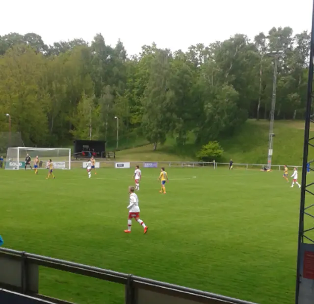 Eskilsminne IF - IS Halmia 3 - 0 (2 - 0)