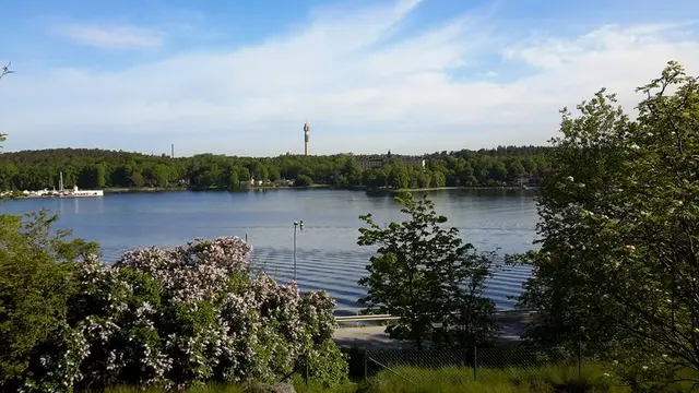 Inför Djurgården-Norrköping: Två formstarka lag med två skyttekungar