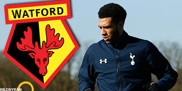 Holebas och Capoue till Watford - två lämnar!