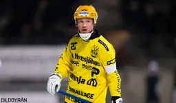 Johan Löfstedt