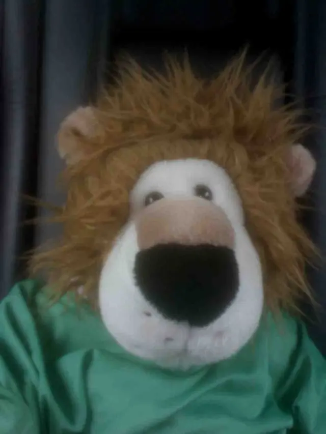 Svennis The Lion
