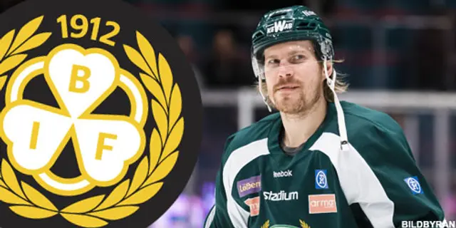 Brynäs IF nye back