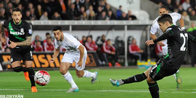 Swansea City vs. Stoke City 0-1 (0-1)