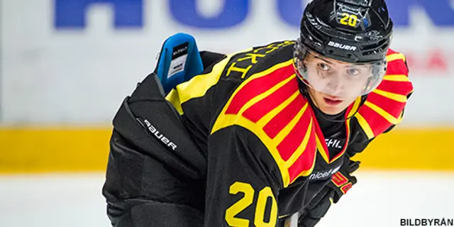 Uppgifter: Adam Brodecki till Brynäs – "Båda parter är intresserade av återförening" 