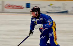 Victor Hulthammar
