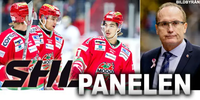 SHL-panelen: ”Det är bättre att agera nu”