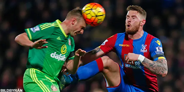 Crystal Palace 0 - Sunderland 1