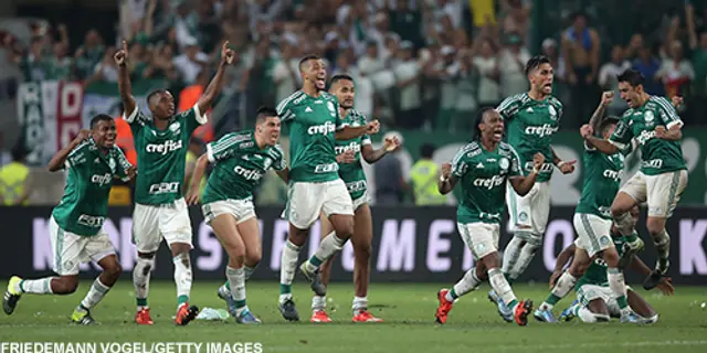 Palmeiras brasilianska mästare 2016!