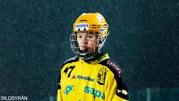 Filip Bringe