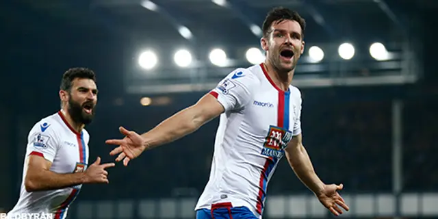 Scott Dann