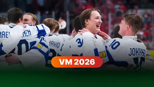 VM-panelen: ”Sverige har sannerligen underpresterat”