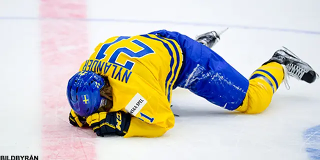 Nylander lämnar JVM 