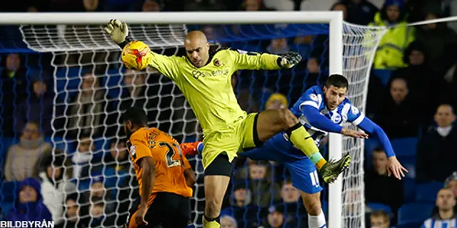 Matchrapport: Brighton-Wolves 0-1