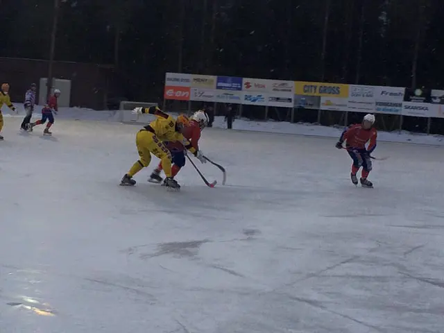 Vinst i seriefinalen