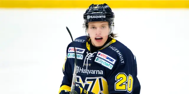 Sillygenomgång HV71