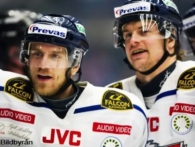 Link&ouml;ping besegrade Bryn&auml;s