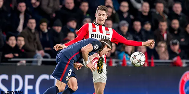 Marco van Ginkel