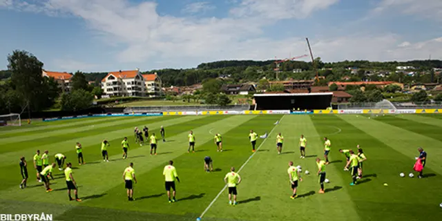 Blågults tänkbara elva mot Wales?