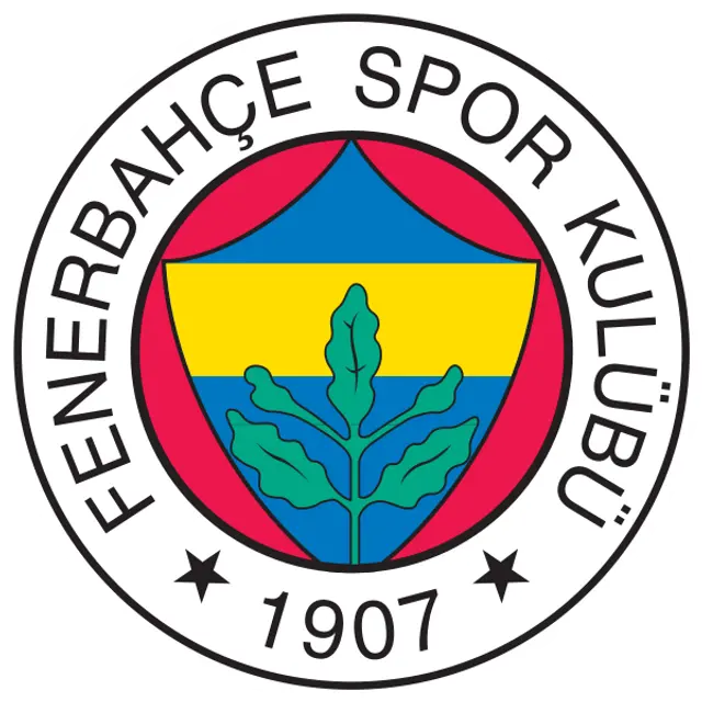 Inför Fenerbahce - VfB(EL)