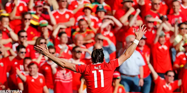 Matchstatistik: Wales - Nordirland 1-0